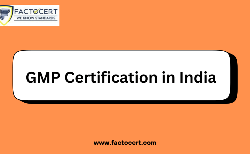 What is the GMP Certification Process In India?