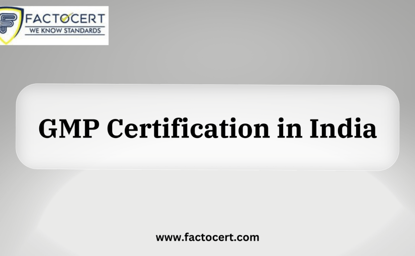 What is GMP Certification?How to Get Indian GMP Certification?