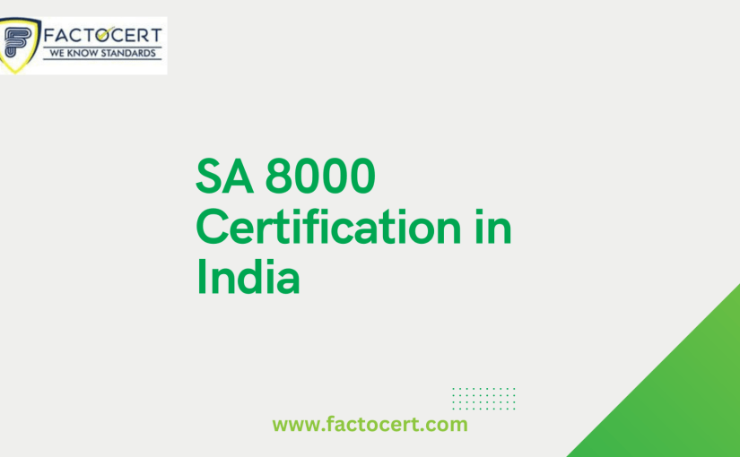 What are India SA 8000 Certification criteria and costs?